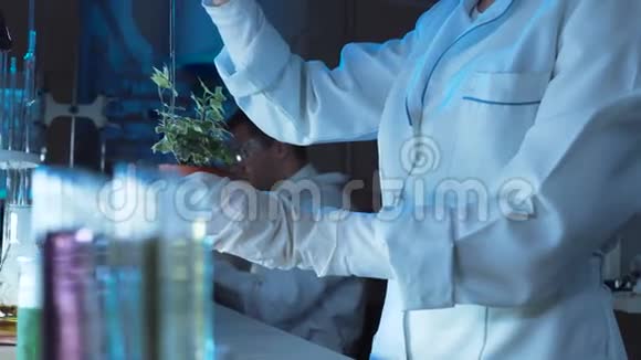 科学家在植物上做实验视频的预览图