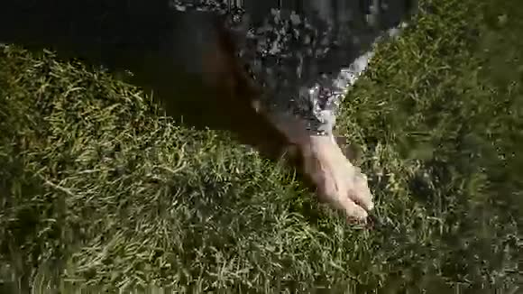 那女孩赤脚在草地上走视频的预览图