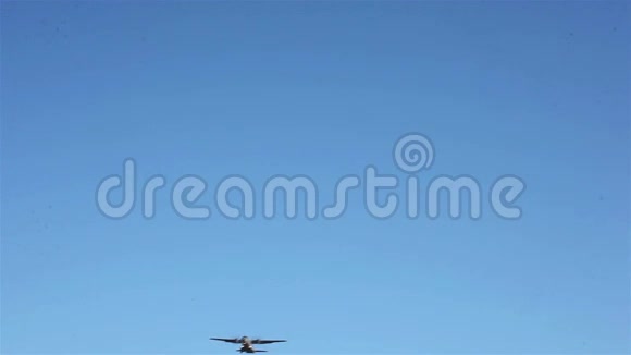 乘飞机飞行视频的预览图