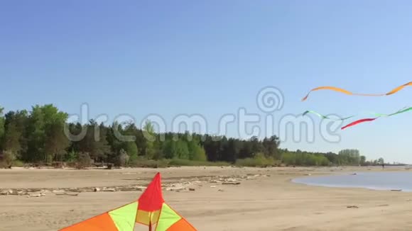 快乐的小孩用风筝跑着笑着视频的预览图
