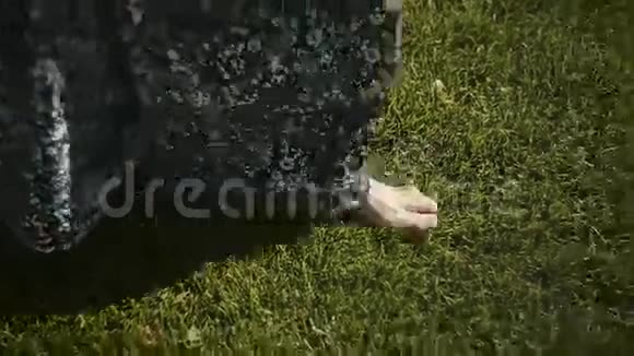 那女孩赤脚在草地上走视频的预览图