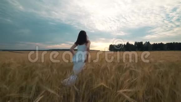 户外美女享受大自然美丽的少女模特穿着白色连衣裙在春天的田野上奔跑阳光明媚视频的预览图