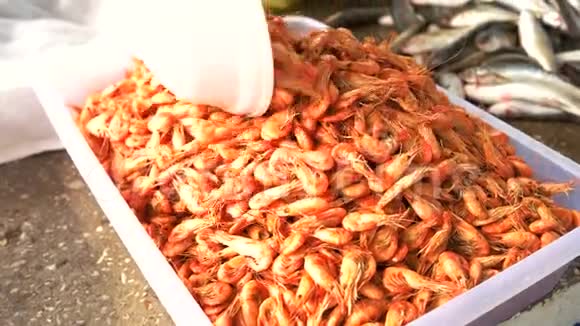 在鱼市场上煮海虾视频的预览图