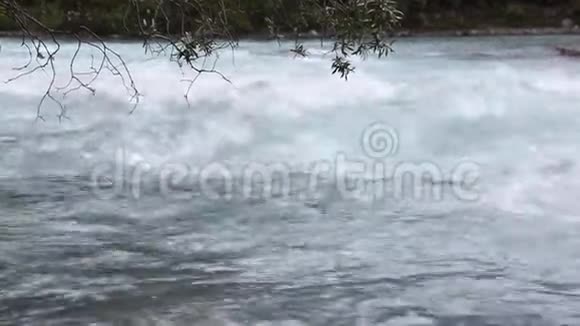 高原河流水面自然背景库切尔拉河阿尔泰山视频的预览图