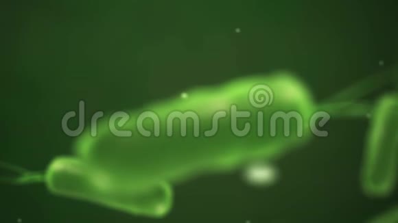 显微镜下的细菌三维插图视频的预览图