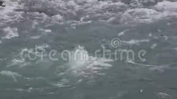 高原河流水面自然背景库切尔拉河阿尔泰山视频的预览图