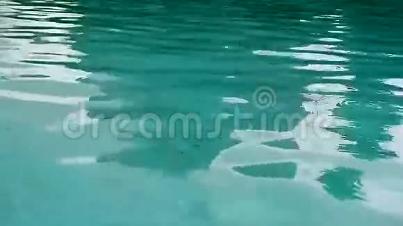 池中明亮的绿松石水底部有污垢泳池清洁视频的预览图