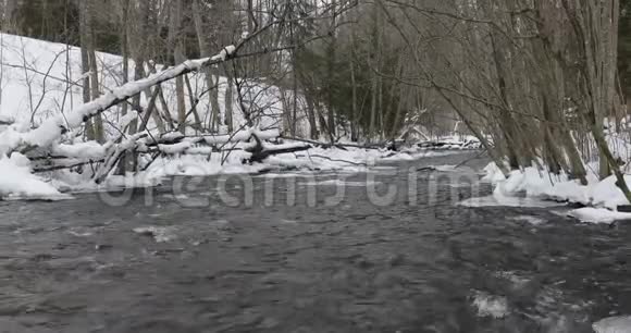 下午冬天森林里的河流视频的预览图