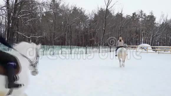 骑着马的女骑手在围场里走动女孩子在疾驰多云宁静的冬日下了点雪慢动作脚视频的预览图