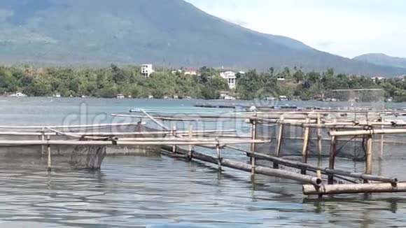 山湖浮罗非鱼笼跟踪射击视频的预览图