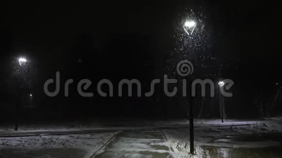 对着路灯下雪雪在60fps中缓慢运动雪花美丽地落下视频的预览图