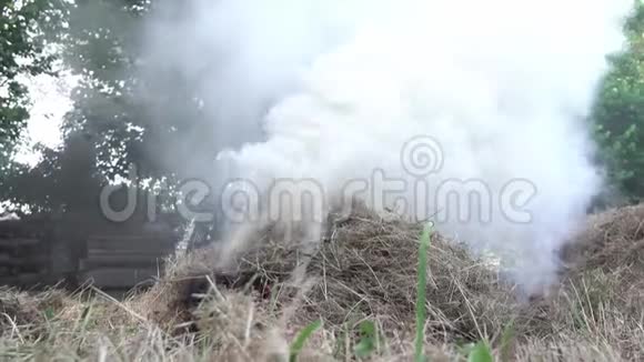 在花园的火炉里烧干草视频的预览图