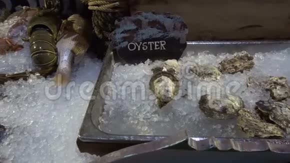 晚上在冰上展示的牡蛎视频的预览图