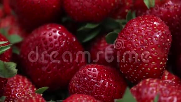 红色的新鲜草莓美味可口的美丽草莓绿色背景上的草莓最好的红草莓视频的预览图
