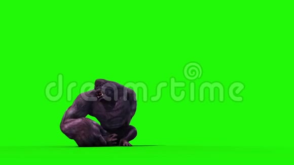 大猩猩愤怒尖叫绿色屏幕3D渲染动画视频的预览图