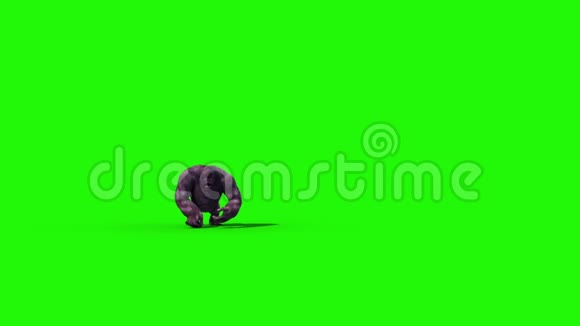 大猩猩漫步前绿幕3D动画视频的预览图