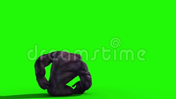大猩猩愤怒尖叫后绿色屏幕3D渲染动画视频的预览图