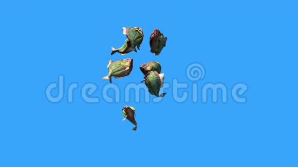 群鱼Piranha攻击下蓝屏3D渲染动画视频的预览图