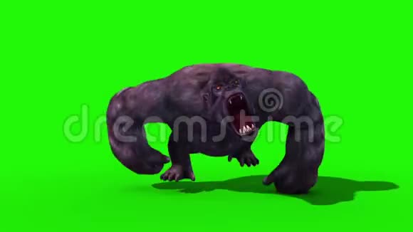 大猩猩跑静态前动物三维渲染绿色屏幕动画视频的预览图