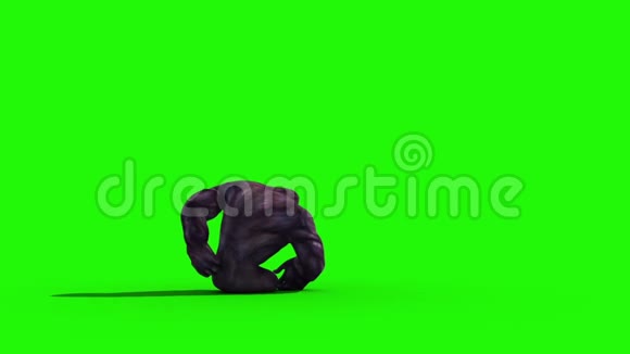 大猩猩尖叫和狗背动物三维渲染绿色屏幕动画视频的预览图