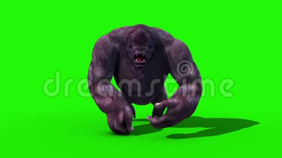 大猩猩漫步自行车前绿色屏幕3D渲染动画视频的预览图