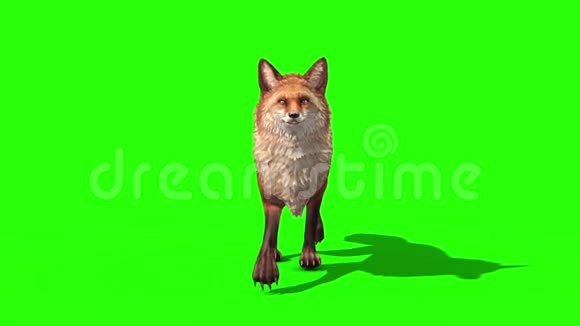 狐步车前绿色屏幕3D渲染动画动物视频的预览图