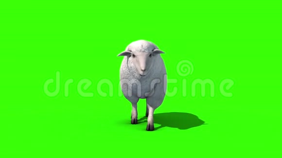 羊步车前绿幕3D渲染动画视频的预览图