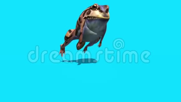 青蛙蟾蜍跳跃循环前蓝屏3D渲染动画视频的预览图
