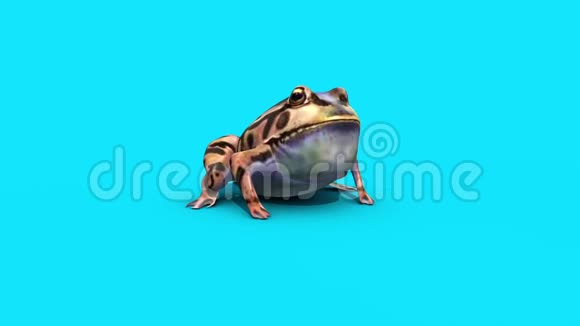 青蛙蟾蜍蓝屏3D渲染动画视频的预览图