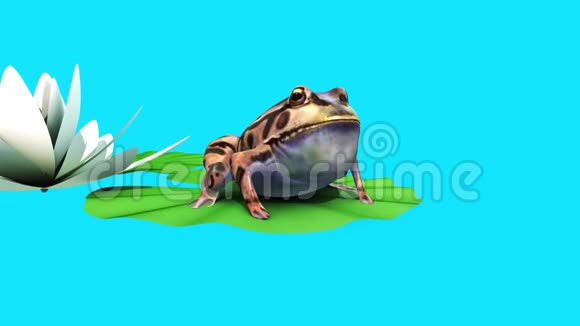 青蛙蟾蜍水百合叶蓝屏3D渲染动画视频的预览图