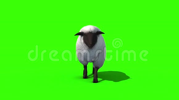 黑羊步行单车前绿屏三维渲染动画视频的预览图