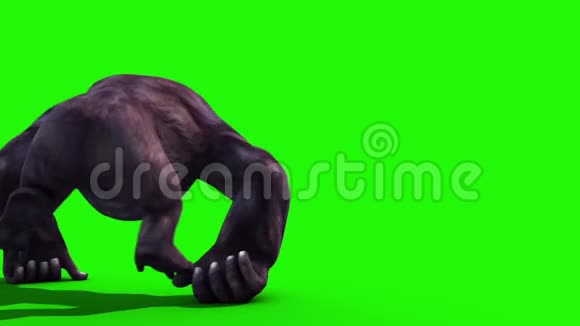 大猩猩跑回动物3D渲染绿色屏幕动画视频的预览图