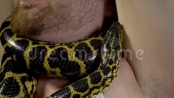 一个脖子上戴着蟒蛇的人视频的预览图