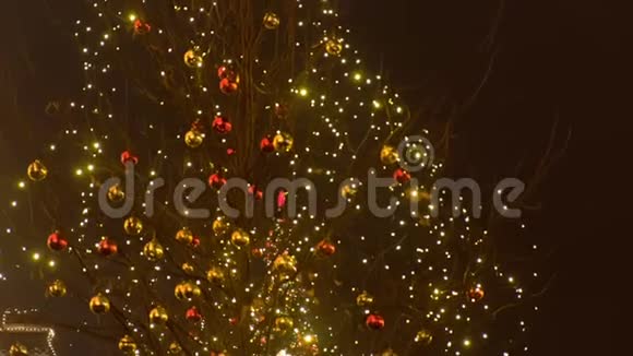 街上树上的圣诞灯和球视频的预览图