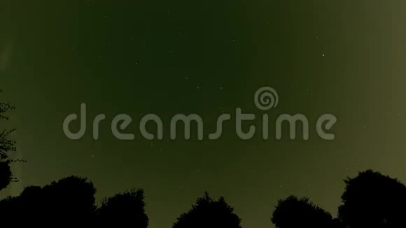 7个夜晚的星和云在Thujas属的夜空中移动视频的预览图