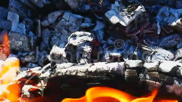 柴火和火焰舌视频的预览图