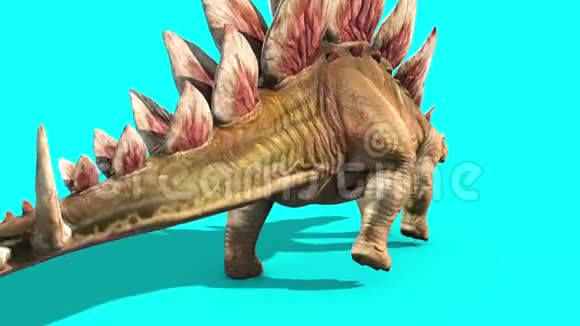 恐龙行走周期后蓝屏3D动画视频的预览图