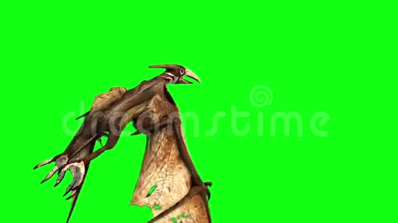 翼龙恐龙飞返绿屏3D渲染动画视频的预览图
