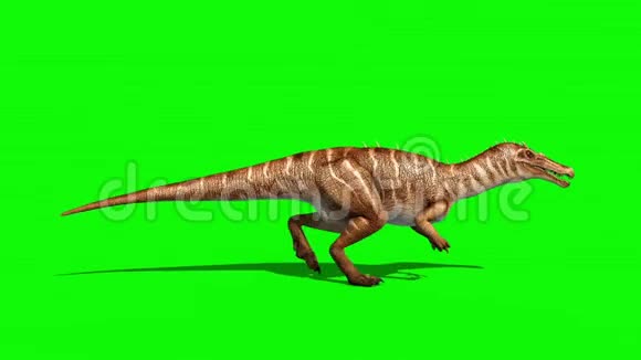 恐龙运行绿屏三维渲染动画侏罗纪循环视频的预览图
