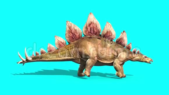 恐龙生存周期蓝屏3D动画视频的预览图