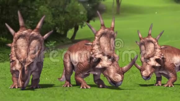 恐龙群吃恐龙侏罗纪视频的预览图
