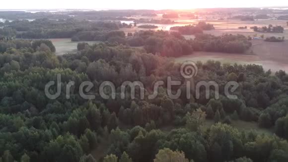夏季结束雾蒙蒙的早晨自然公园景观空中视频的预览图