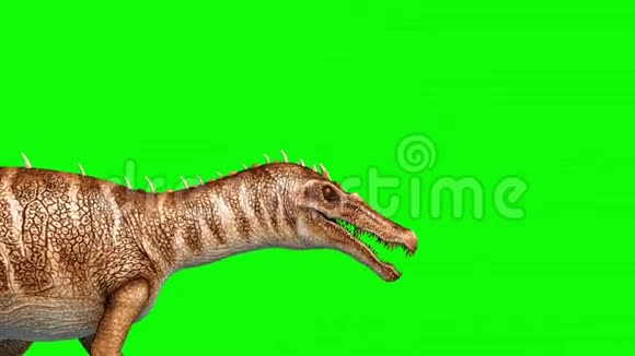 恐龙攻击绿屏3D渲染动画侏罗纪循环视频的预览图