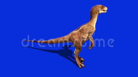恐龙速度猛禽环视侏罗纪前世界视频的预览图