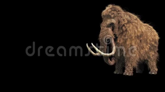 猛犸真毛皮懒洋洋侏罗纪后阿尔法Matte三维渲染动画视频的预览图