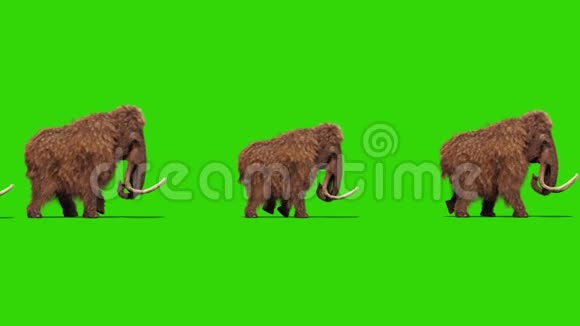群猛犸真皮手游侏罗纪下绿幕3D渲染动画视频的预览图