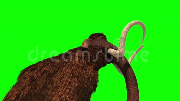 猛犸攻击史前动物侏罗纪三维渲染绿屏Chroma关键视频的预览图