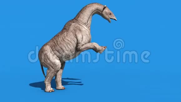 Paraceratherium恐龙攻击侧蓝色屏幕3D渲染动画视频的预览图