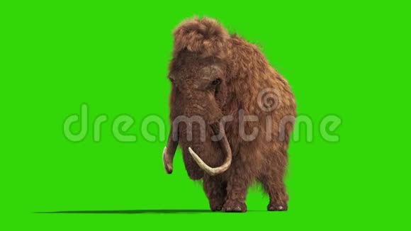 猛犸真皮手游侏罗纪正面绿幕3D渲染动画视频的预览图
