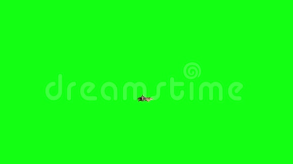 翼龙恐龙飞行攻击Dies前绿色屏幕标记3D渲染视频的预览图